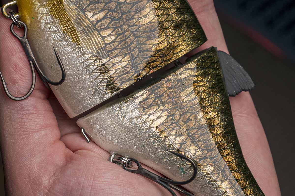 Choppy Big - Bass - Image 2