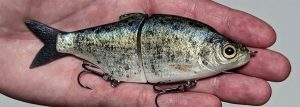 Shad Junior - Crappie