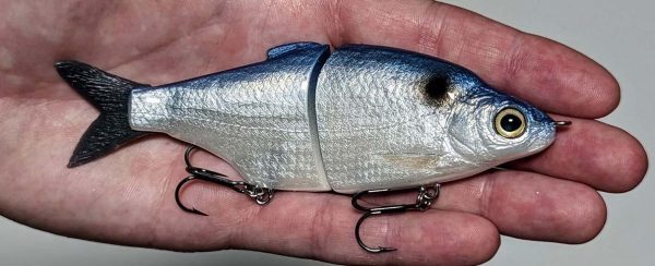 Shad Junior - Blueback