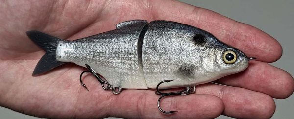 Shad Junior - Original Shad