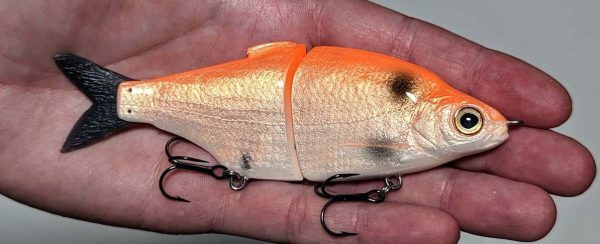 Shad Junior - Orangie