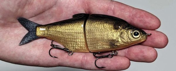 Shad Junior - Smoked Shad