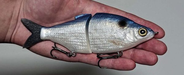 Shad Daddy - Blueback