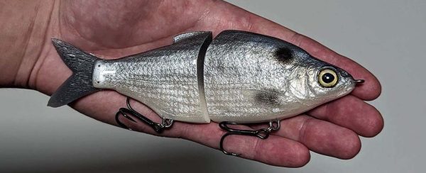 Shad Daddy - Original Shad