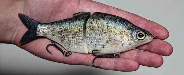 Shad Daddy - Crappie