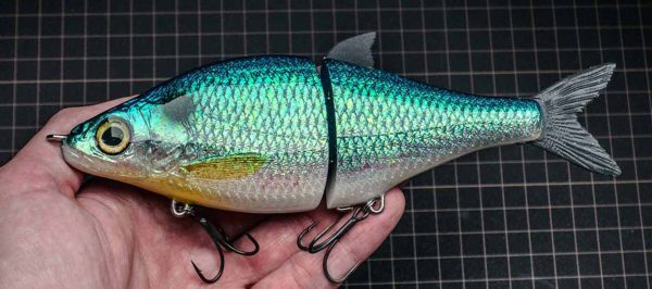 WhiteFish - Blueback