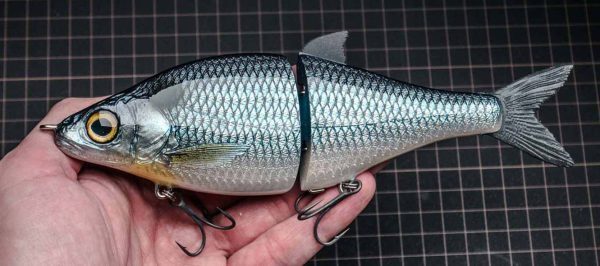 WhiteFish - Original Shad