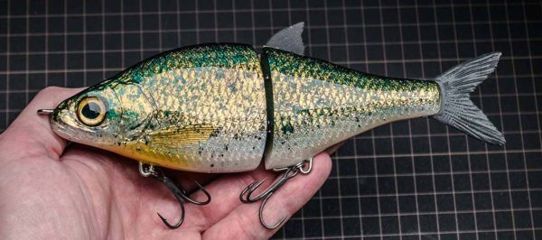 WhiteFish - Crappie
