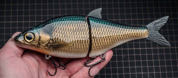 WhiteFish - Smoked Shad