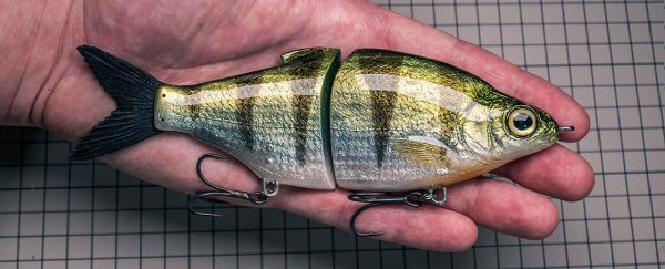 Shad Daddy - Green Perch