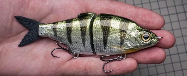 Shad Junior - Green Perch