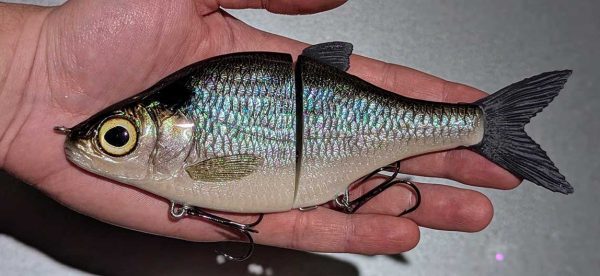 Choppy Big - Blueback