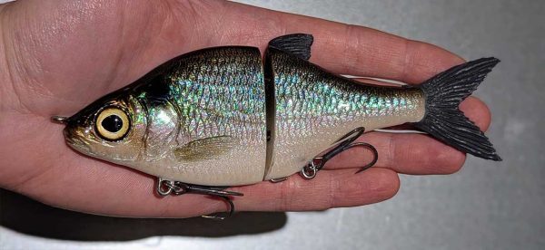 Choppy Classic - Blueback