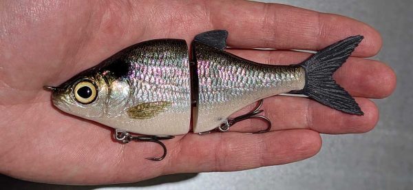 Choppy Mini - American Shad