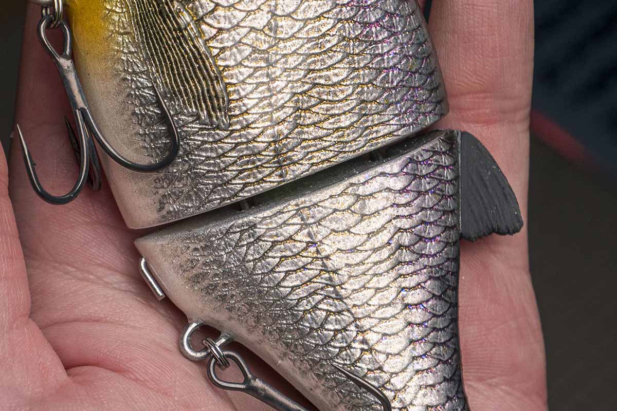 Choppy Classic - American Shad - Image 2