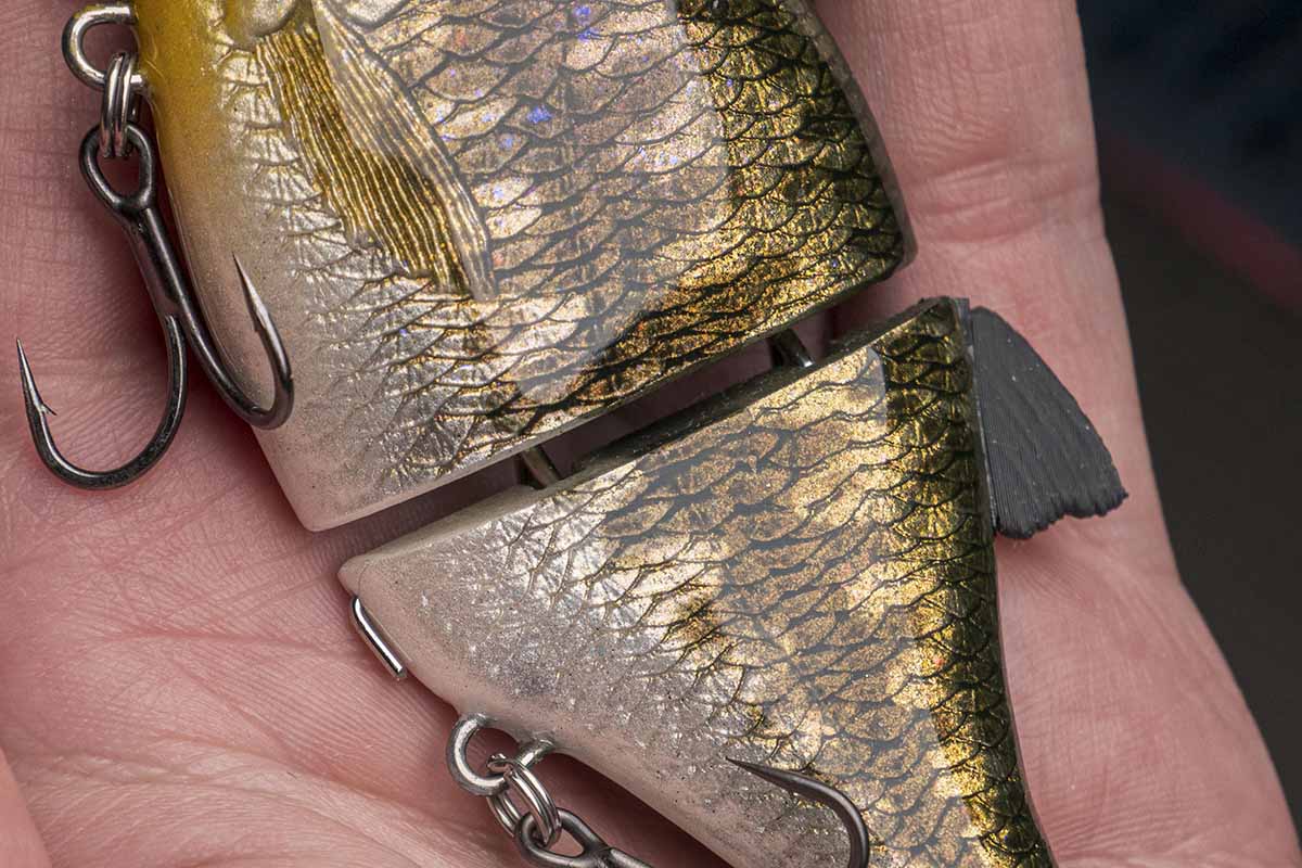 Choppy Mini - Bass - Image 2